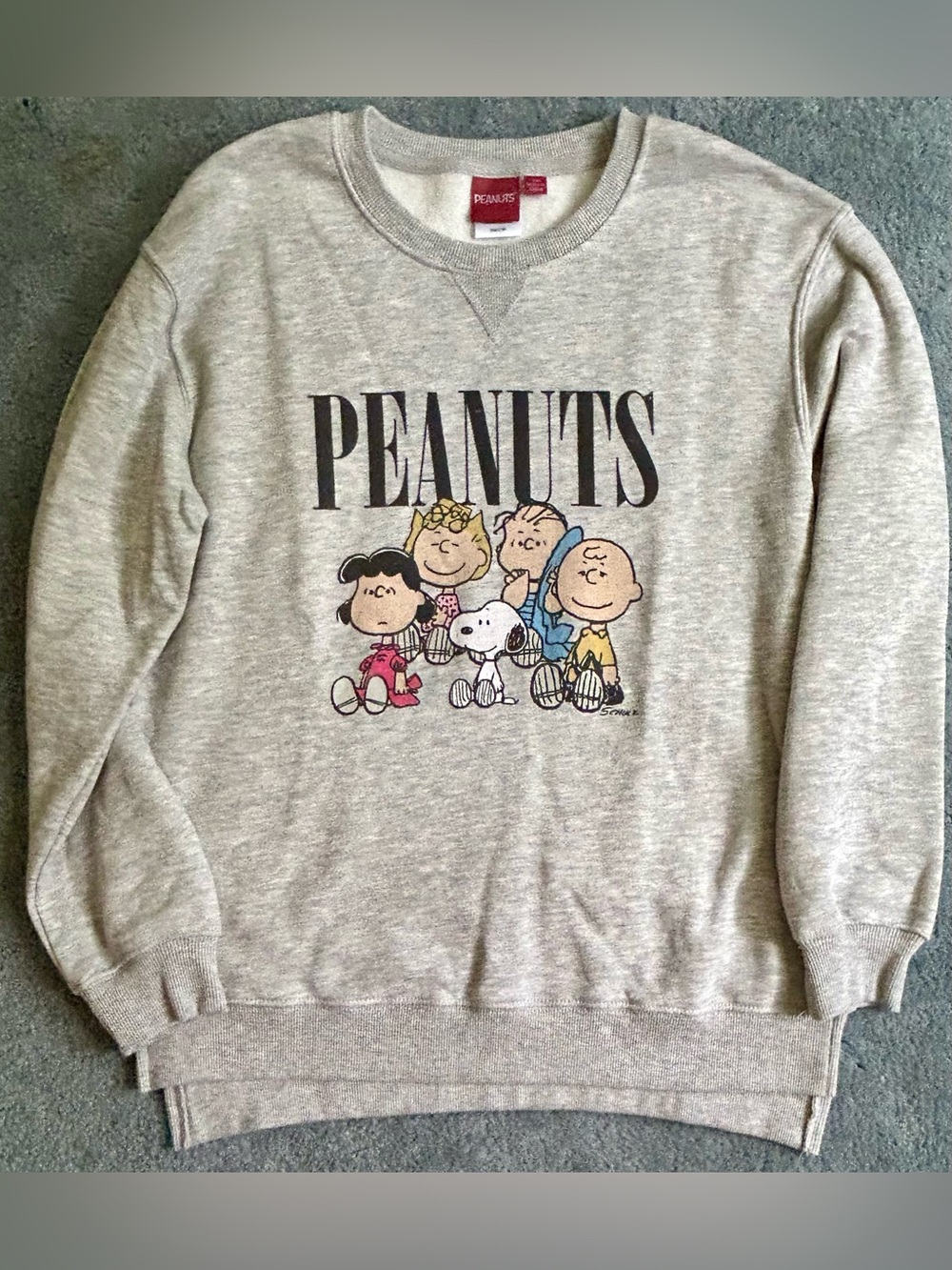 Peanuts “Peanut Gallery” Graphic  Sweatshirt - Medium - Heather Gray - BNWT